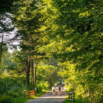 Burlington Bike Path