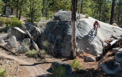 trail mountain bike - if you ride often and hard, you