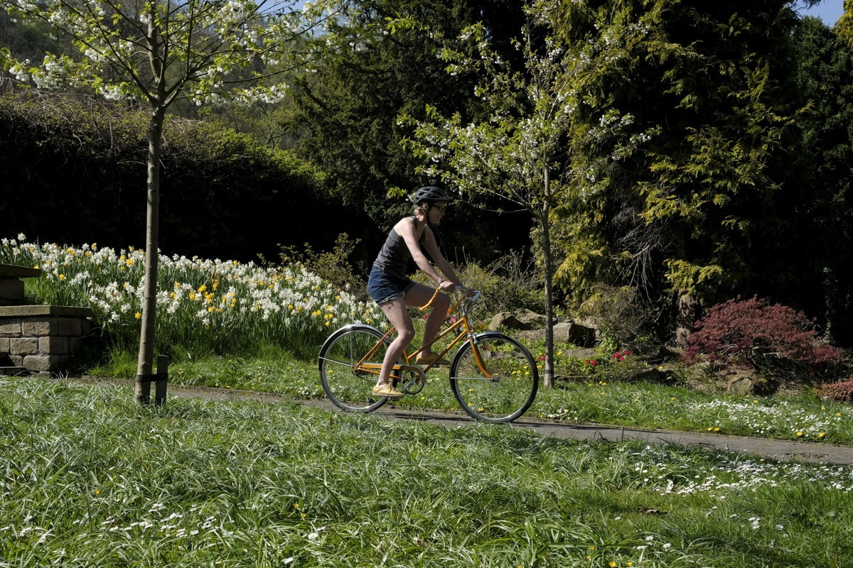 Mountain biker riding comfortably with the best saddle