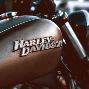 Harley Davidson motorcycles lined up at Bike Fest Leesburg FL