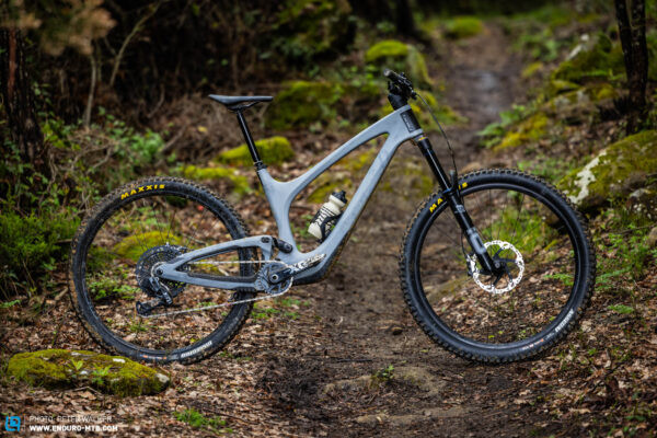 Bold Unplugged Ultimate climber