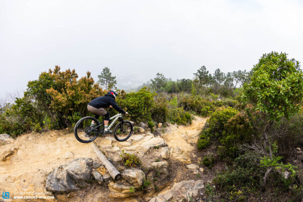 Canyon Strive CFR LTD balanced performance