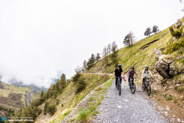 Riders on a flowy uphill trail