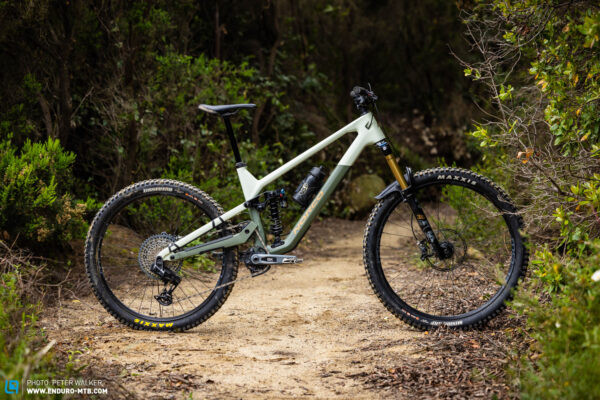 Norco Sight C1 progressive geometry