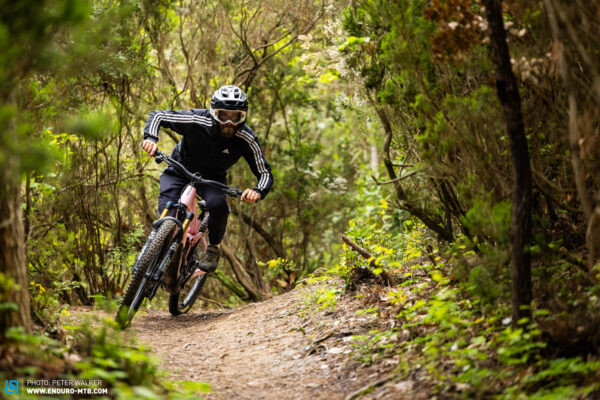 Orbea WILD M-LTD customizable