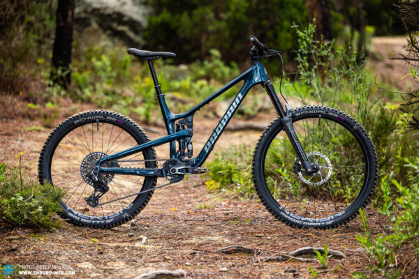Propain Tyee 6 CF agile on trails