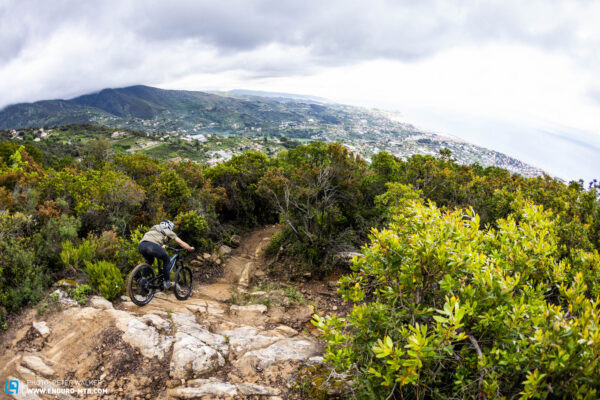 Propain Tyee CF enduro bike