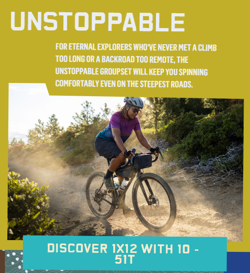 Bike Companies Face Headwinds: Navigating the Current Market Downturn