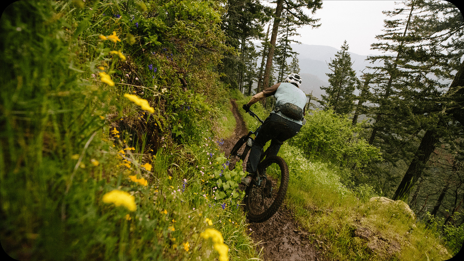 Santa Cruz Hightower 3 Climbing Uphill Trail