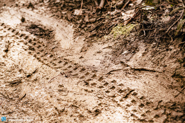 Maxxis Shorty tire, highlighting a common tire type used with mountain bike fenders