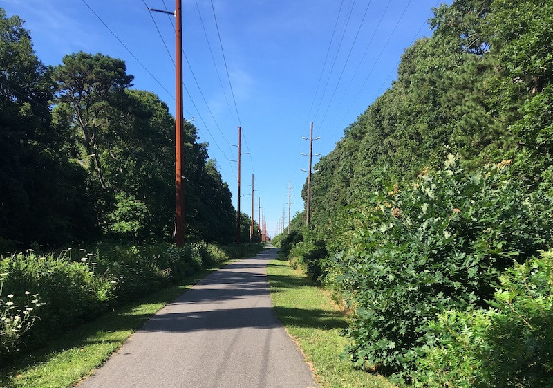 A scenic view along the Middle Township Bike Path, part of the developing Cape May County rail-trail system.