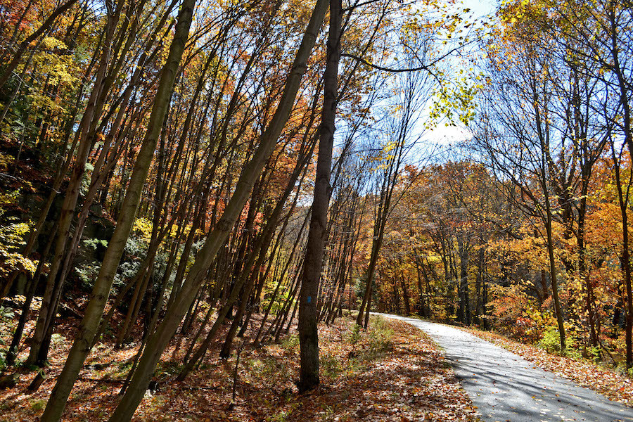 A cyclist explores the Allegheny River Trail in Pennsylvania, with the river flowing gently beside the path.