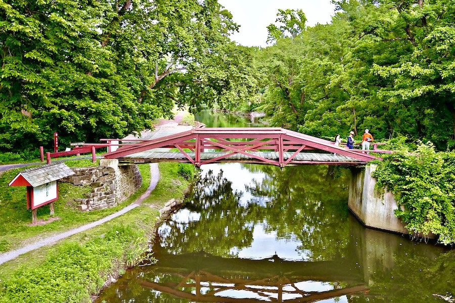 A cyclist pedals along the D&amp;L Trail in Pennsylvania, surrounded by lush greenery and historic canal paths.