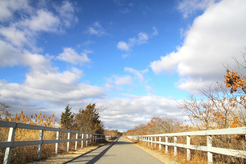 Shining Sea Bikeway winds through a salt marsh in Falmouth, Massachusetts