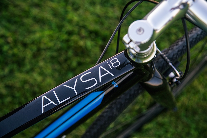 Raleigh Bicycle Alysa i8 Handlebars and Brakes Review on Wander The Map