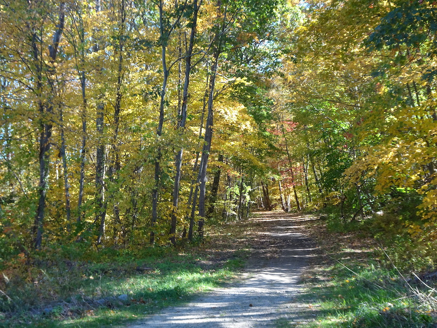 The Stillwater Scenic Walkway in Rhode Island, showing a crushed-stone path under a canopy of green trees