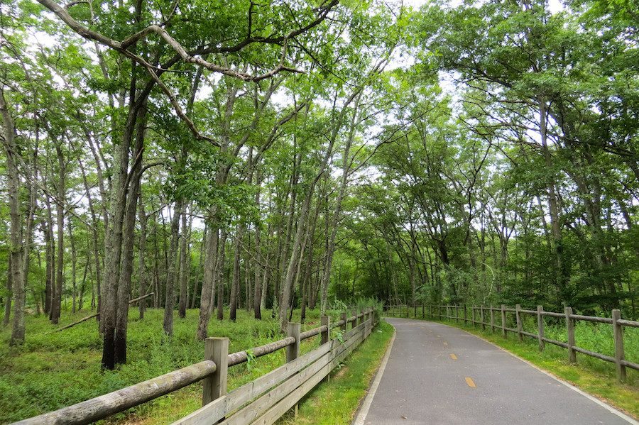 The Ten Mile River Greenway in Rhode Island, showing a paved path through a green corridor with the river visible through trees