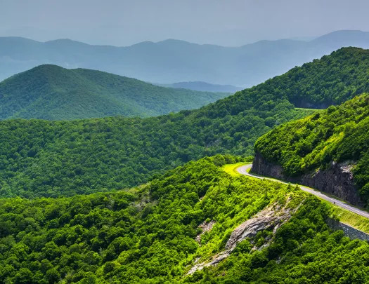 Panoramic vista of a mountain road winding through vast, green forested mountains under a clear sky.