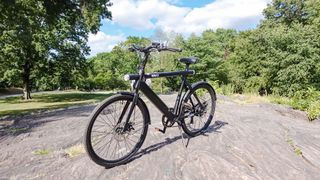 Wing Freedom 2 inexpensive e bike standing in a park setting