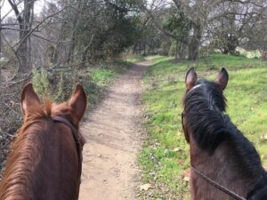 Cyclists enjoying the American River Bike Trail