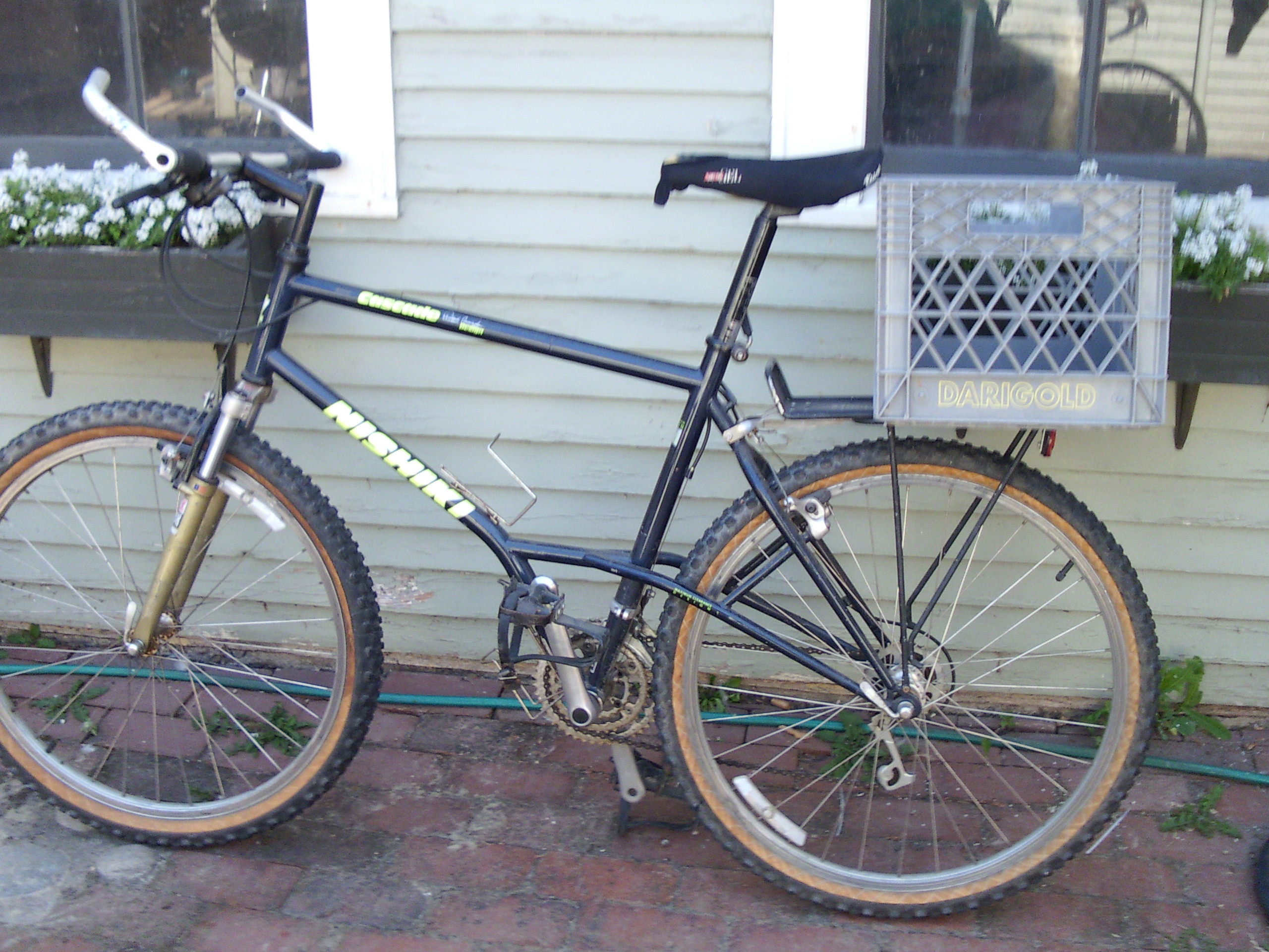 Bike with Crate Carrying Groceries