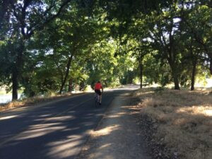 Runners on the American River Parkway with a scenic reflection