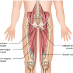 Cyclist experiencing hip pain while riding, emphasizing the importance of proper bike fit and posture