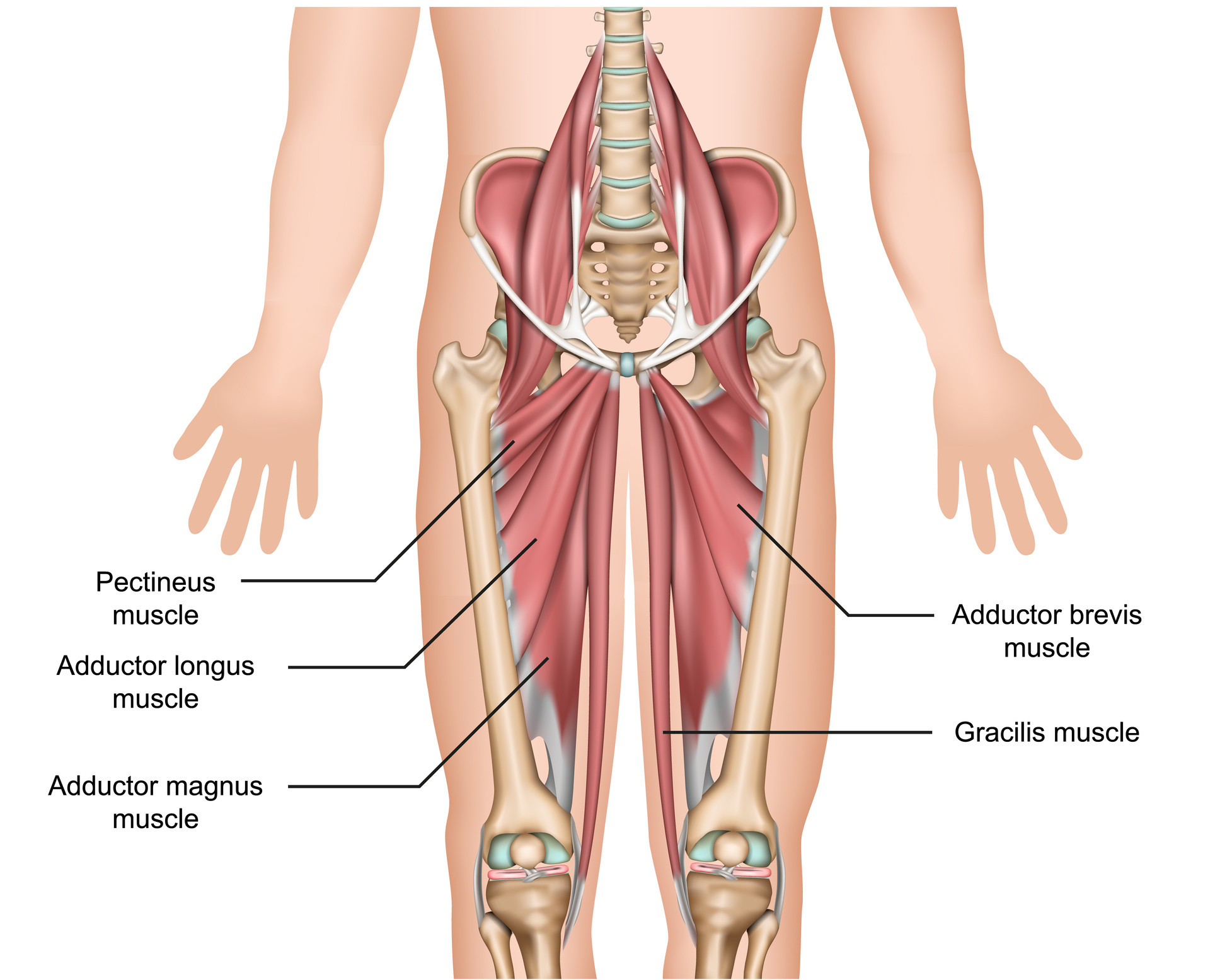 Cyclist experiencing hip pain while riding, emphasizing the importance of proper bike fit and posture