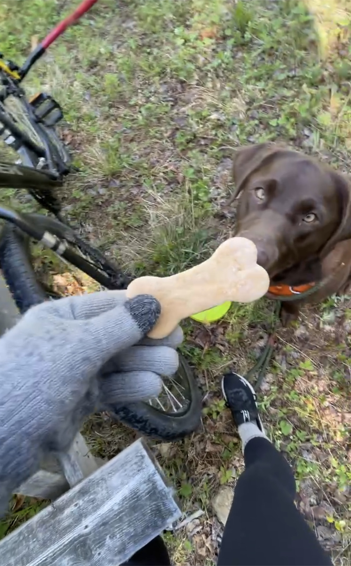 Stopping for some treats