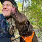 Dog with a Ruffwear front range harness