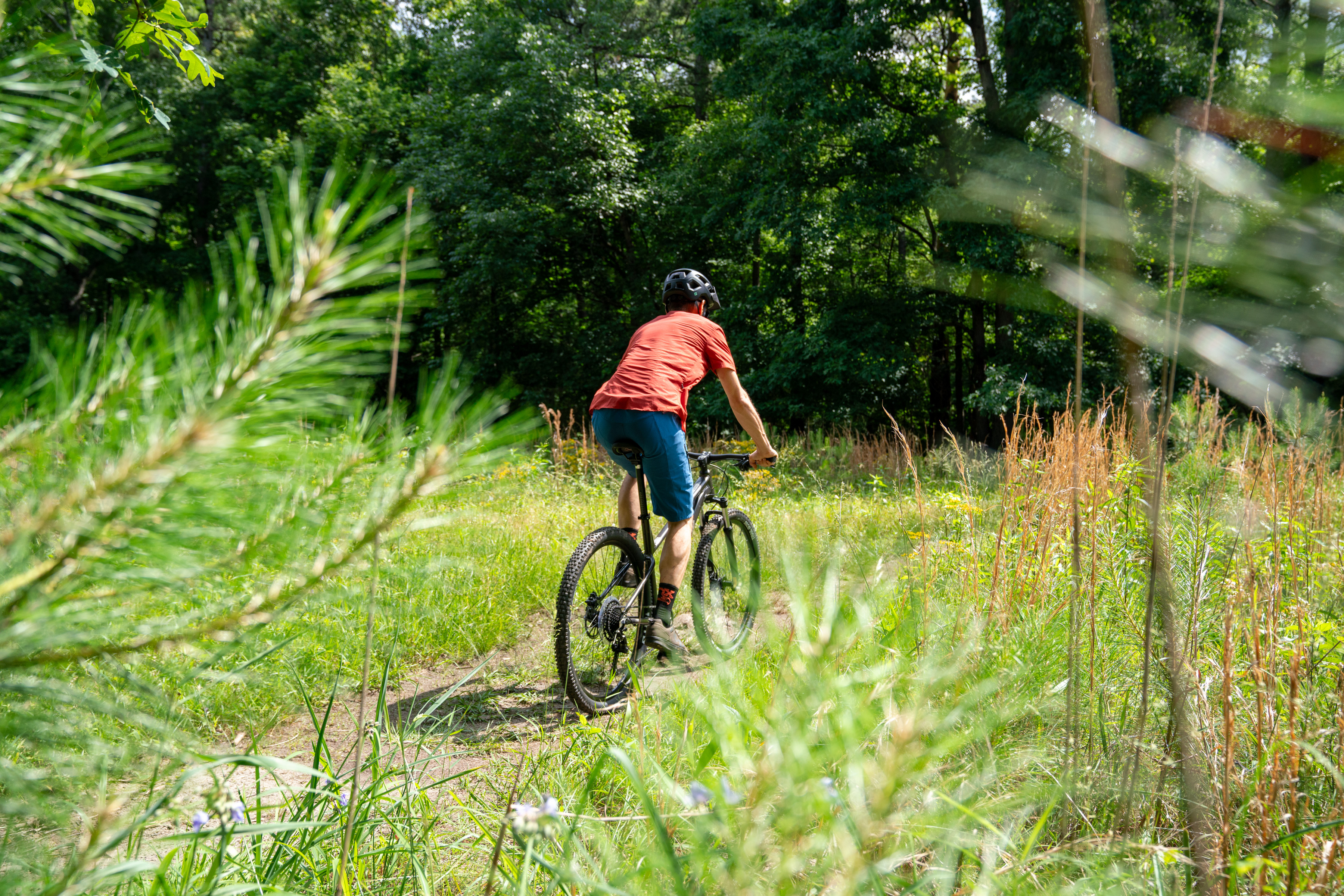 Mongoose Switchback Expert on moderate terrain