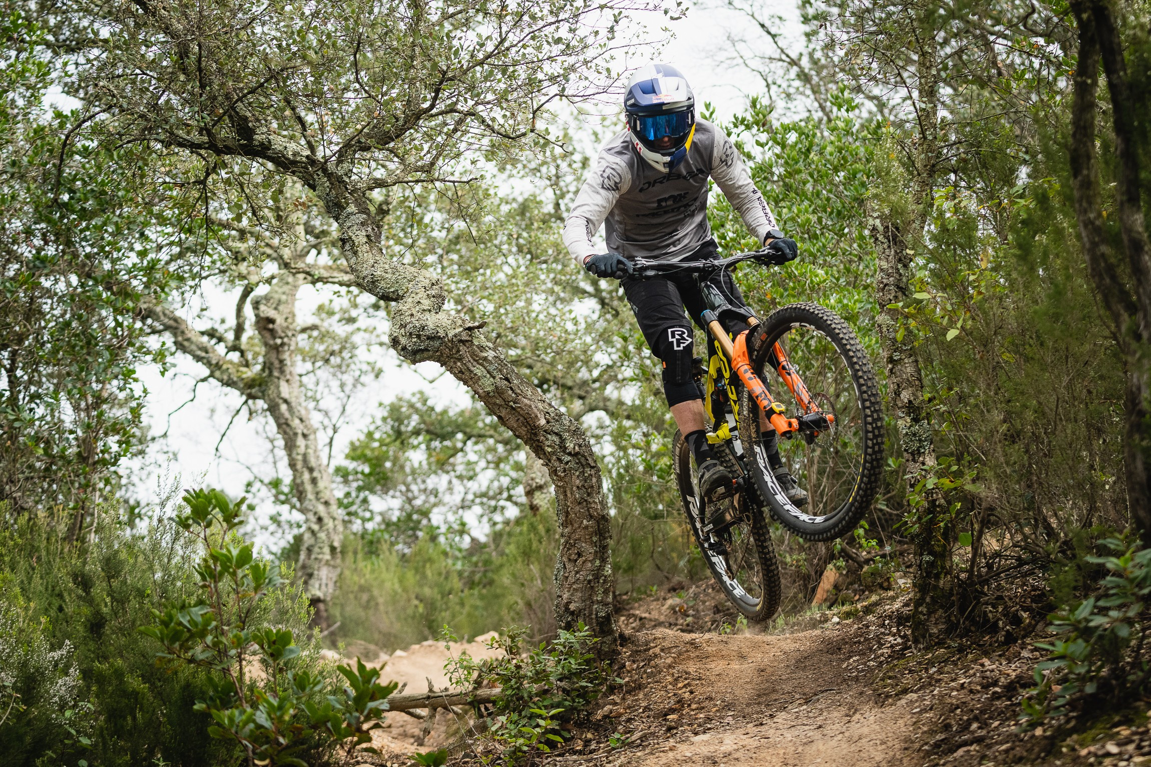 Downieville Classic trails