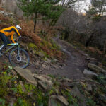 Enduro bike with 29 inch wheels