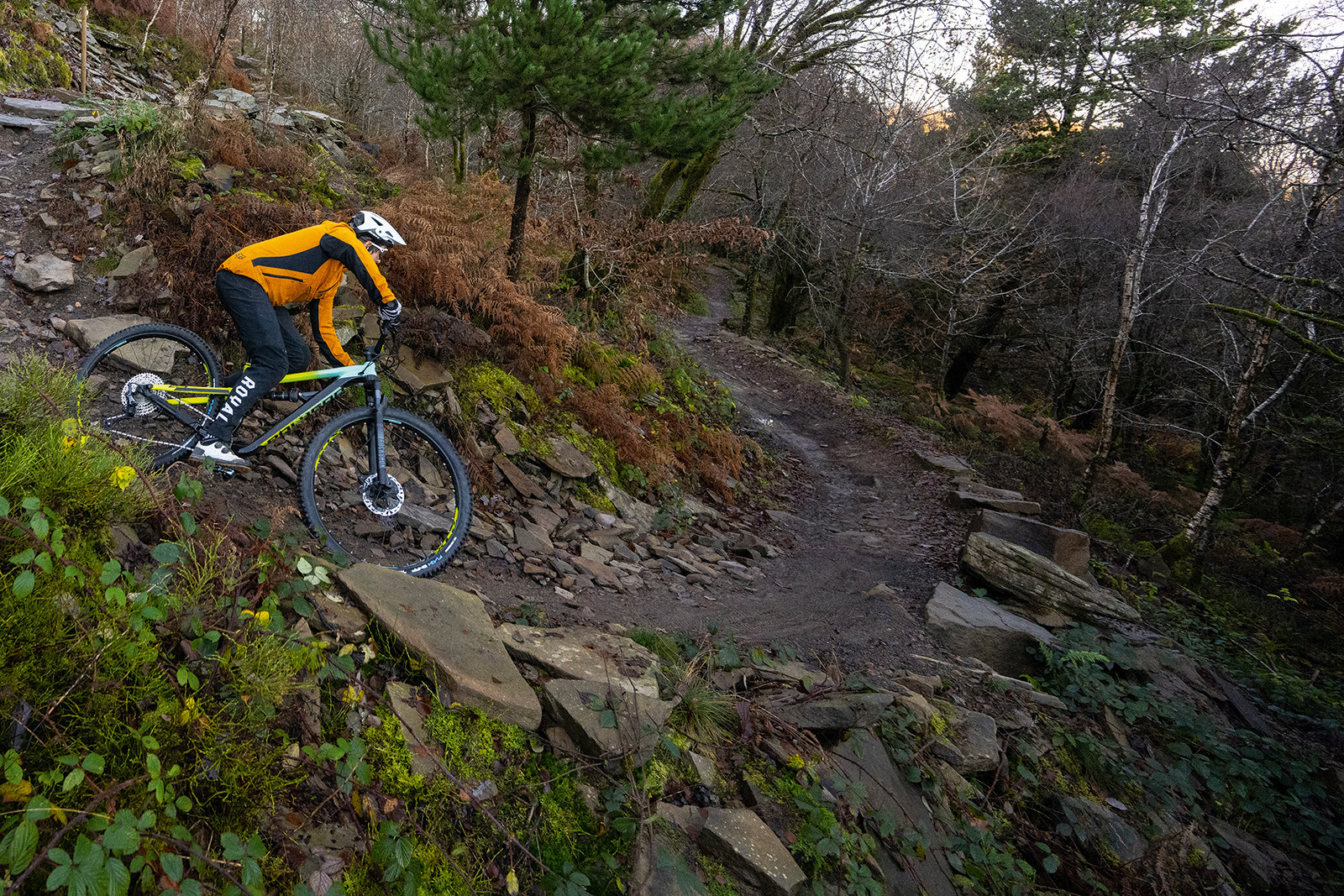 Enduro bike with 29 inch wheels