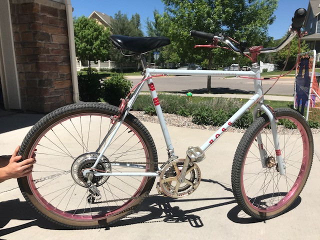 **Are Ross Bikes Good? Unveiling the Truth for Bikers**