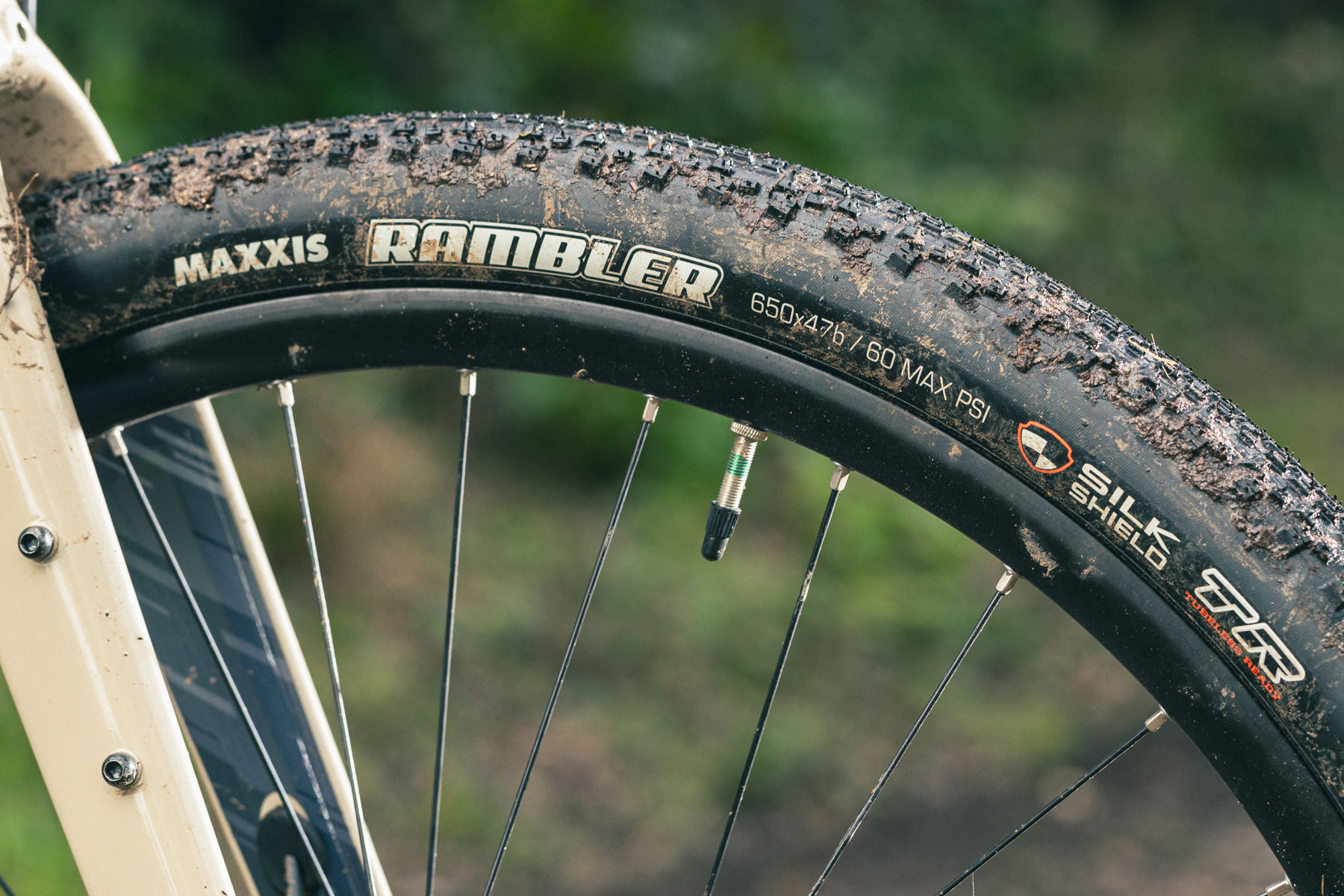 Close-up of Maxxis Rambler tire on Saracen Levarg gravel bike showing tire sidewall markings