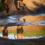 Cyclists on the American River Bike Trail enjoying the scenery
