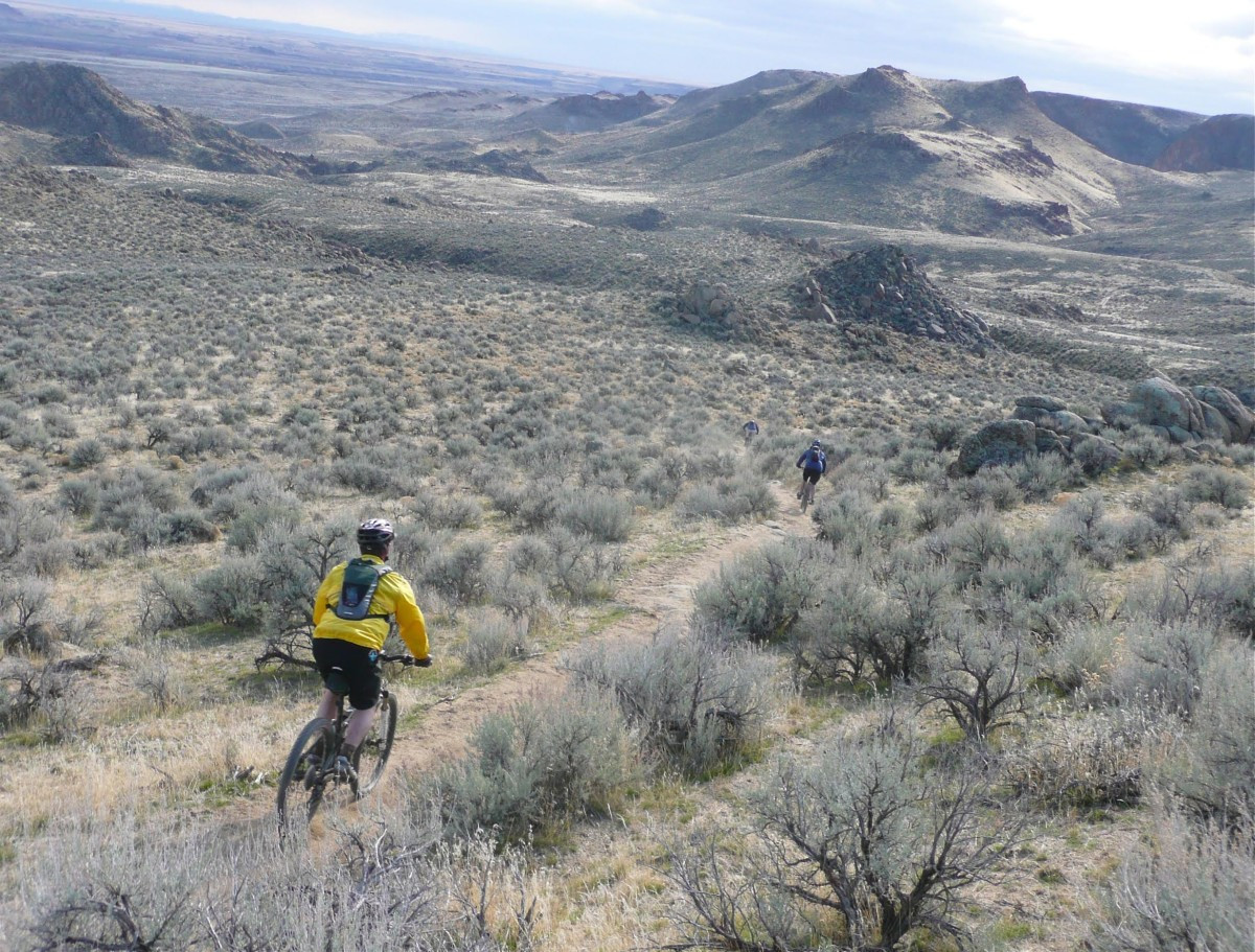 A determined cyclist pushing through a challenging section of a mountain bike trail, showcasing mental fortitude