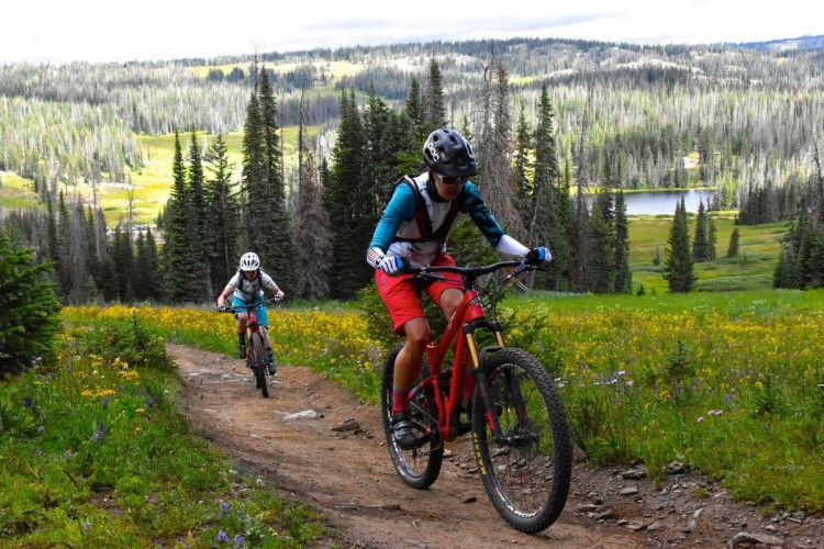 A cyclist wearing a helmet and reflective gear, emphasizing safety on a mountain bike ride
