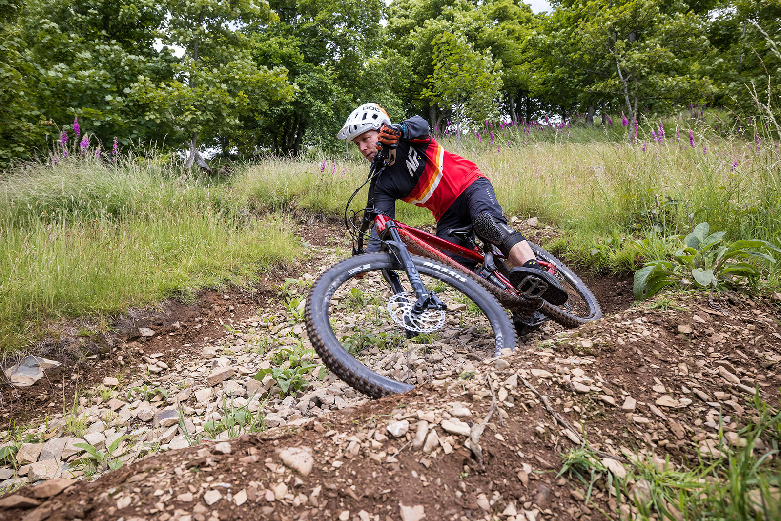 Vitus Escarpe trail mountain bike